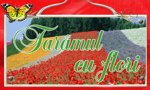 Floraria